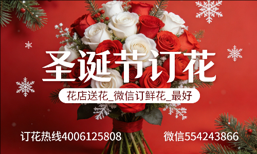 �����簲������